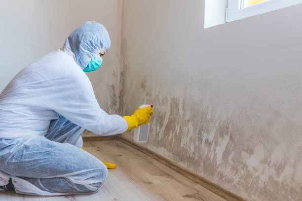 Mold Remediation specialist working in Manhasset